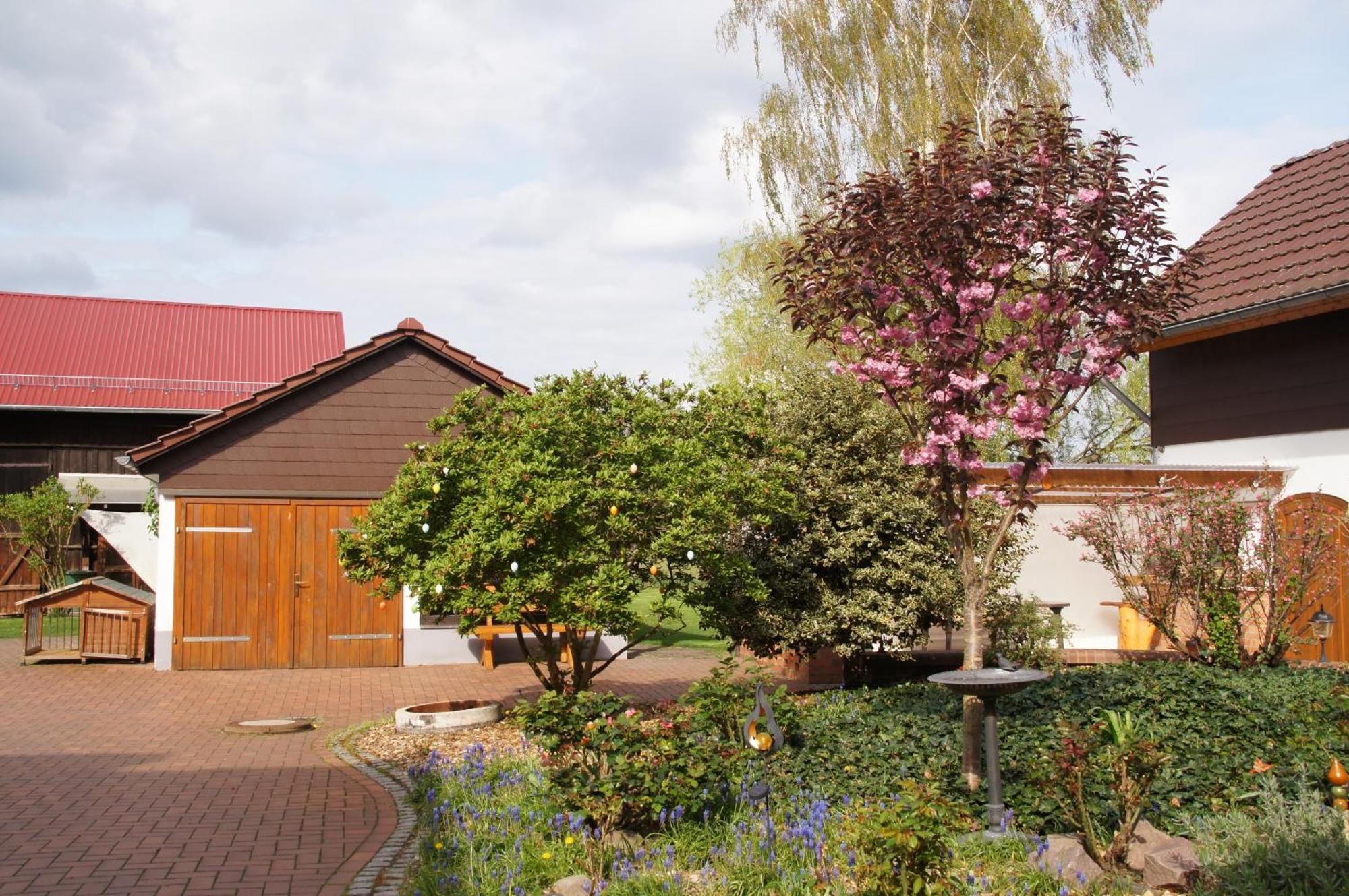Juli's Im Spreewald Apartment